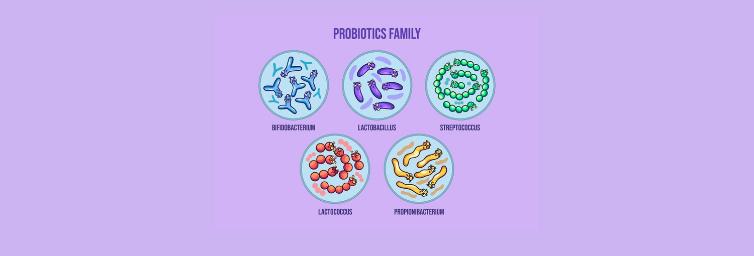 Probiotics: The Microbial Marvels Elevating Skin Care